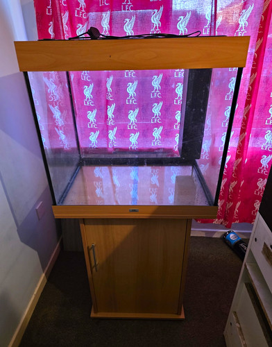 Juwel glass cube - fish, tank