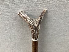 Red Deer Antler Walking Hazel