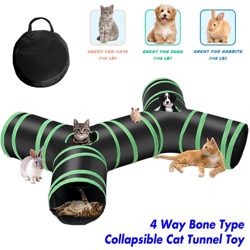 Large way cat - 4,