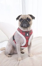 Puppia Blitzen Christmas