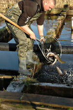 NYLON CHEST WADERS SIZES 7 8 9 10 11 12 WATERPROOF FLY COARSE OR SEA FISHING