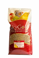 SkyGold Special Canary Bird
