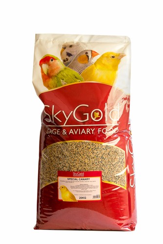Skygold special canary - skygold, bird