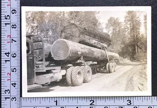 Occupational lumber logging - lumber,
