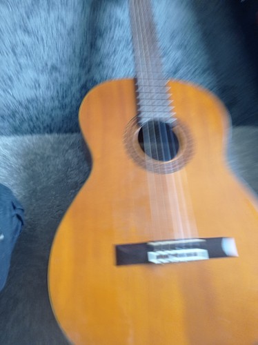 Farida classical guitar - farida,