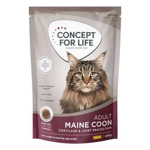Concept for life maine - concept,
