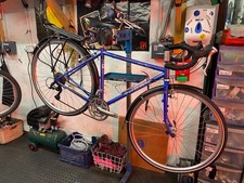 Thorn Club Tour 48cm