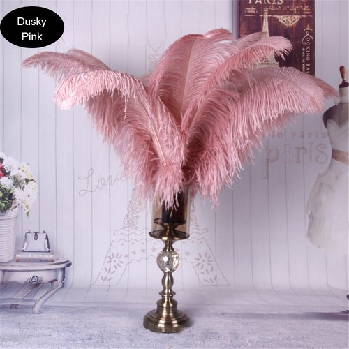 Long quality ostrich feathers - quality,