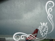 Scania, Griffin Truck / Lorry Side Window left and right vinyl stickers/decals