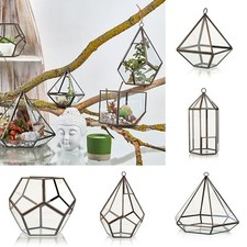 Terrarium Showcase Display