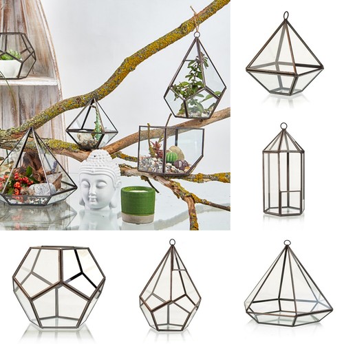Terrarium showcase display - terrarium,