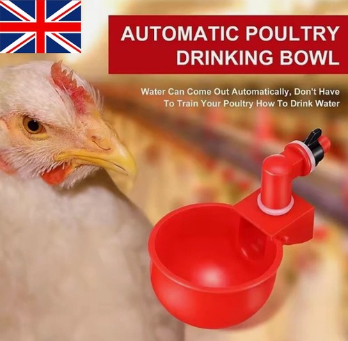 Automatic water cups - water, poultry