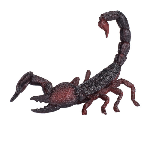 Mojo emperor scorpion wild zoo - wild,
