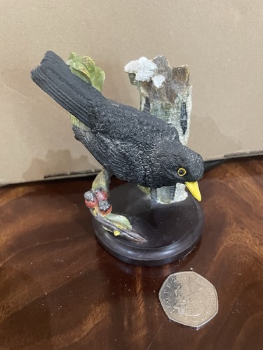 Andy pearce blackbird oiseaux - andy,