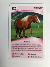 Noriker Pinzgauer Austrian