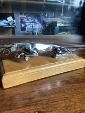 JAGUAR Mascot - JAGUAR WILMOT