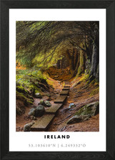 Irish Woodland Path Framed