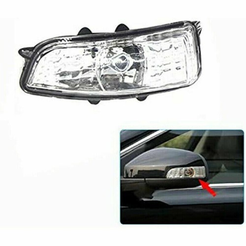Front wing mirror indicator - wing,