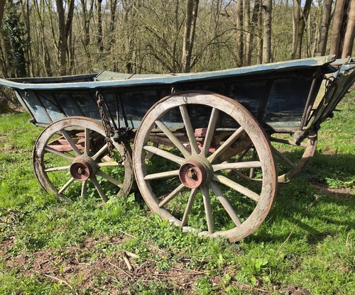 Horse dray cart - horse,