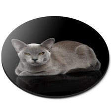 Round Mouse Mat Burmese Cat