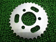 HONDA Genuine New XR100 Motard