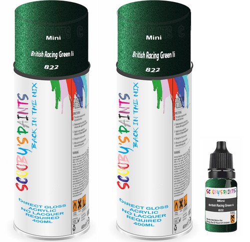For mini spray paint - for,