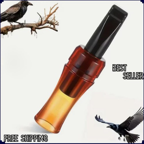 Outdoor crow rook - rook, call