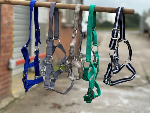 Horse headcollar halter mixed - horse,