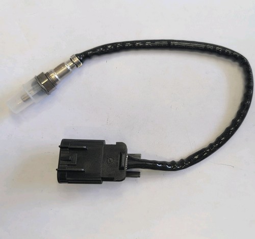 Sensor wk50 scrambler - 02,