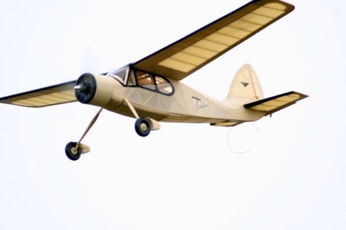 Ladybird 42in rc model - ladybird,