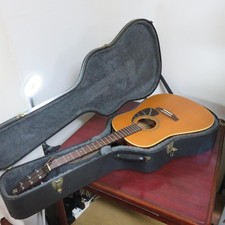 Acoustic guitar seagull with