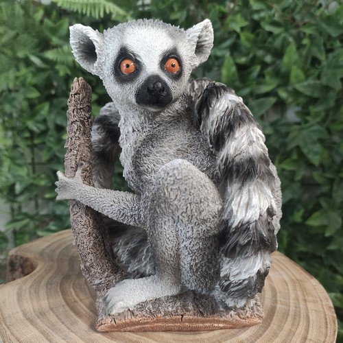 Vivid arts ring - ring-tailed, lemur