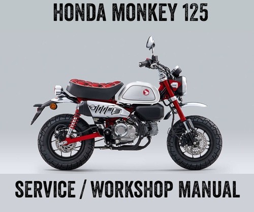 2022 2024 honda - monkey, 125