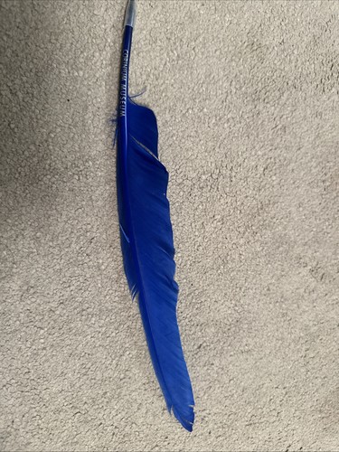 Feather quill pen - feather,