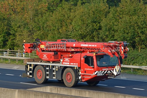 Crane photo 12x8 - photo,