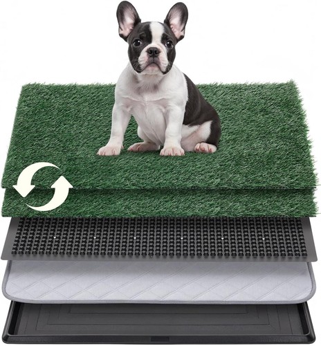 Pet dog toilet mat - toilet, indoor