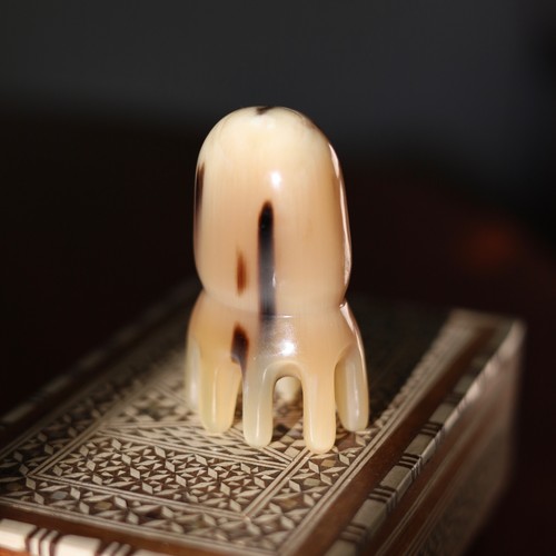 Buffalo horn deep - horn, scalp