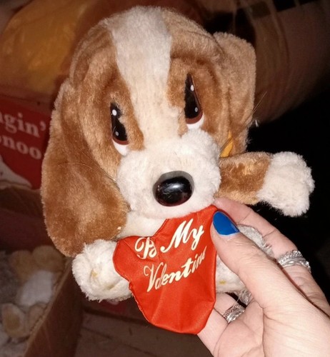 Sad sam honey dog - sad, plush