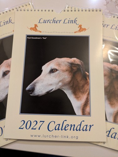 Lurcher link rescue calendar - link, rescue's