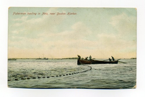 Fishermen hauling nets from - in,