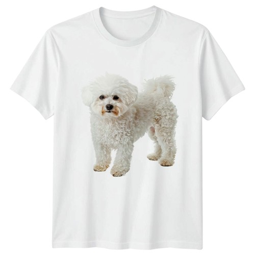 Bichon frise shirt - t-shirt,