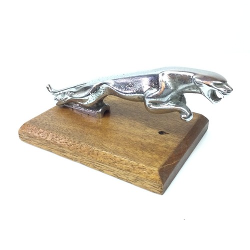 Vintage jaguar car bonnet - jaguar,