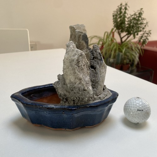 Bonsai pot 17cm wide with - wide,