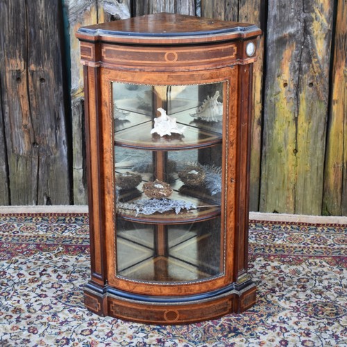 Antique inlaid burr - antique,