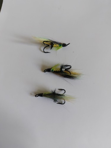 Green highlander salmon - green,