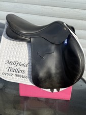 17 Inch Black Bates Momentum