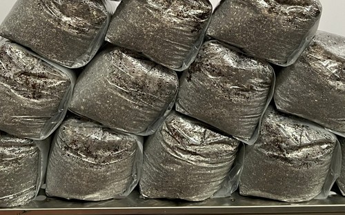 Cvg sterilised mushroom bulk - sterilised,