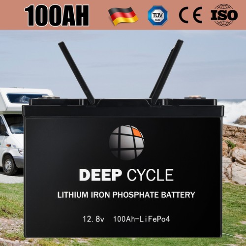 12v 100ah lifepo4 - 100ah,