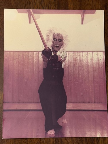 Vintage kendo photo - photo, martial