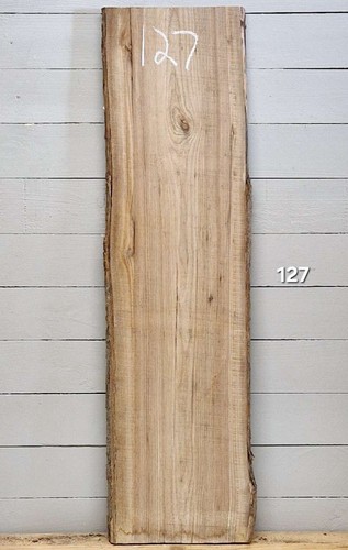 Elm live edge timber 1250mm - live,